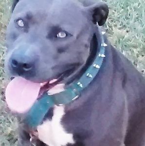 Meet your Posher, Leonard